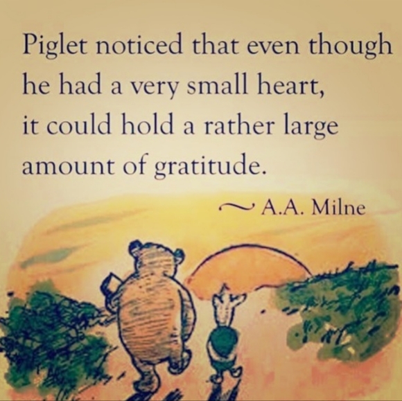 🌽 Bemis Seamless VINTAGE SEED SACK COTTON HUGE CLOTH BAG - Picture 2 of 16